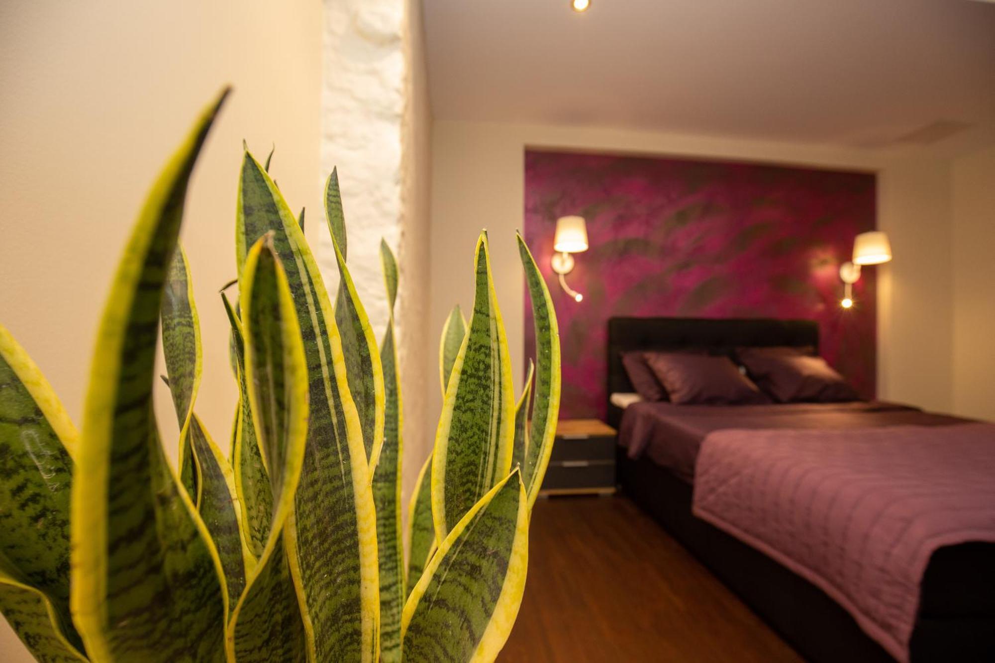 P54 Apartment Пайде Екстериор снимка